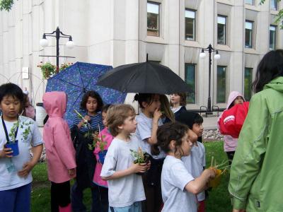 Eleves fiers de leurs plantes/ Students proud of their plants