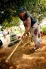 préparer la terre / preparing the soil