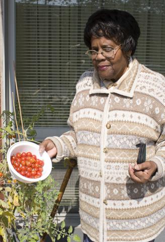 hilda loves tomatoes