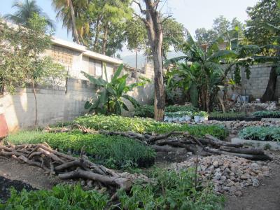 jardin démontratif d'APROSIFA