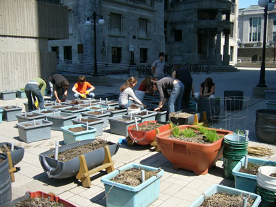 Mise en place du jardin de McGill