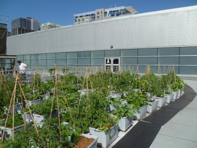 Un jardin en santé