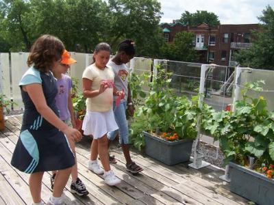 Eleves dans le jardin, 2006 | Students in the garden, 2006