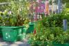 school yard garden