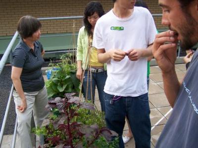 Jardinage pour classe? | Gardening for class?