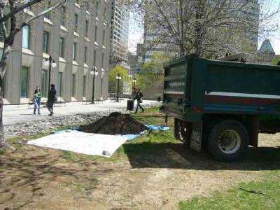 Un jardin en pleine ville