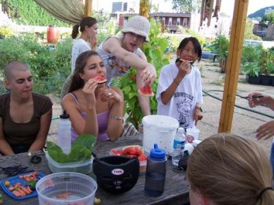 MMMelon d'eau du toit! | Yummm..watermelon grown on the roof!