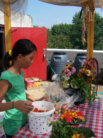 Pique-nique dans le jardin | Garden picnic