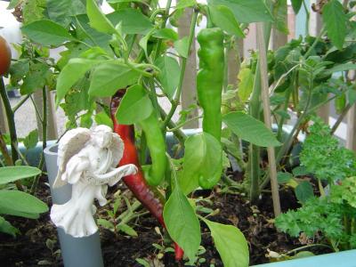 Un ange dans le jardin / An angel in the garden