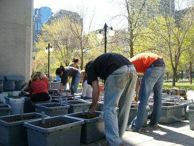 Urban gardeners